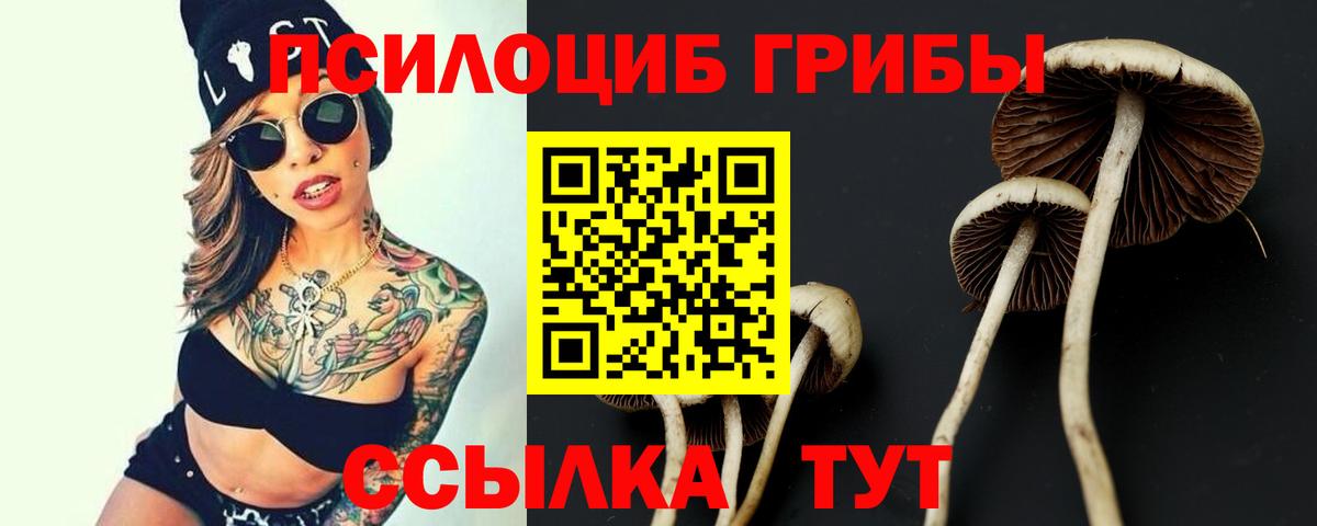 Псилоцибиновые грибы мицелий  Вход с VPN  Галлюциногенные грибы мицелий  Смоленск 